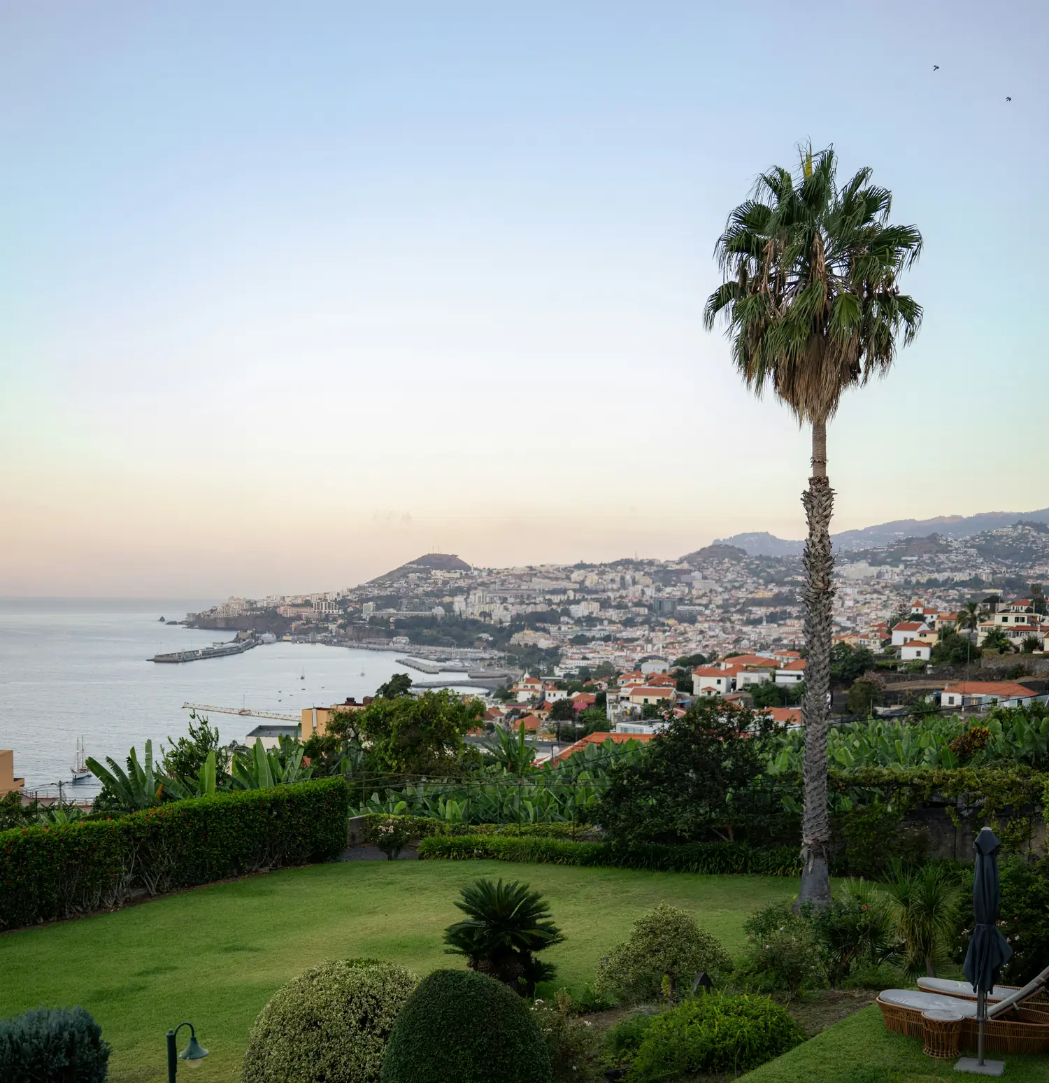 Vue sur la baie de Funchal depuis un jardin à Madère