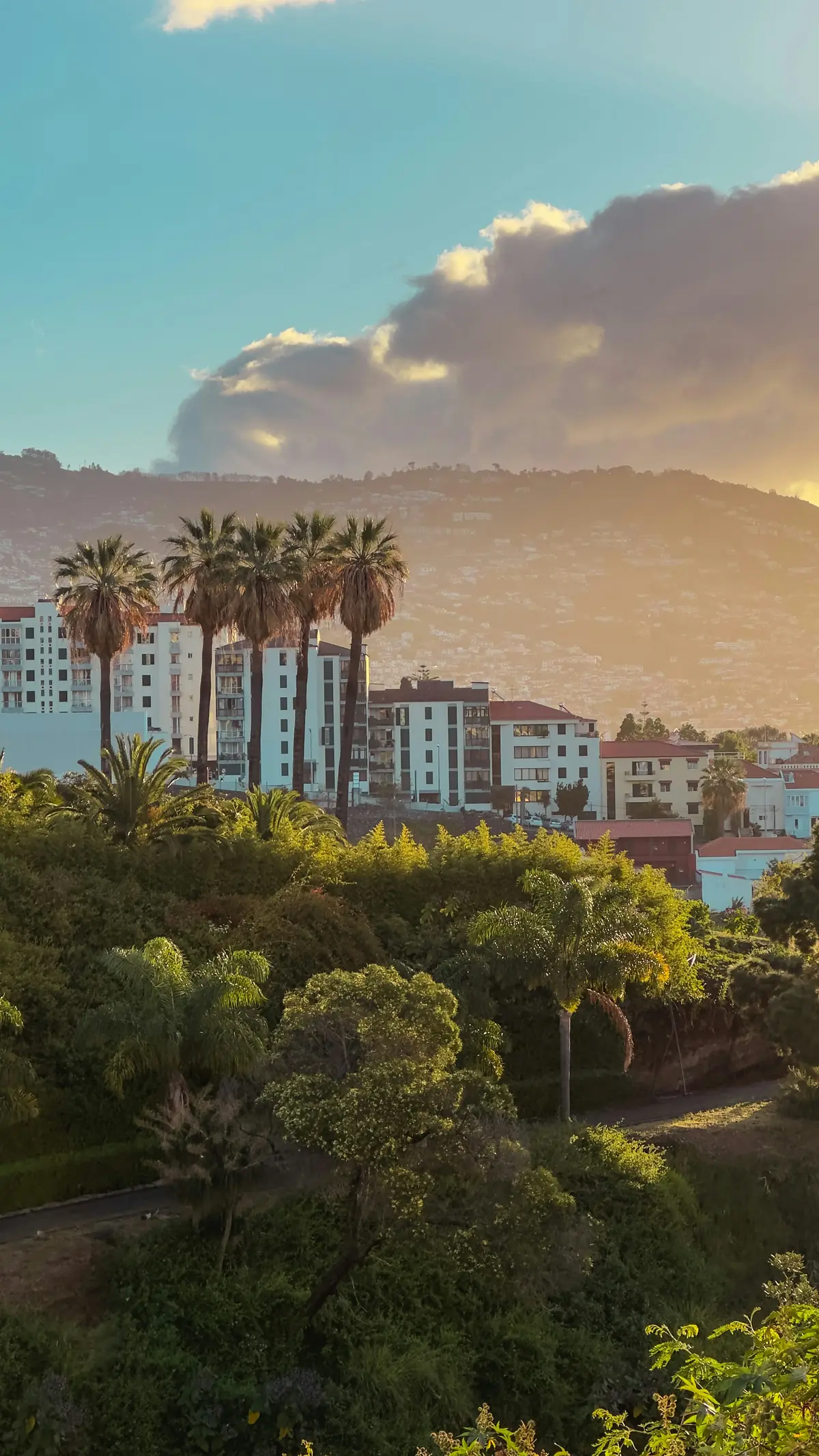 Quartier résidentiel de Funchal à Madère au coucher de soleil